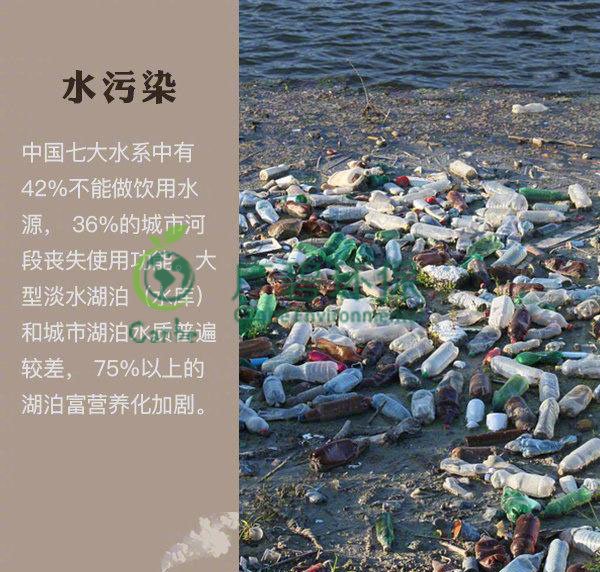 世界地球日 我們能為地球做些什么？(圖2)