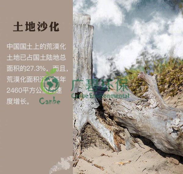世界地球日 我們能為地球做些什么？(圖4)