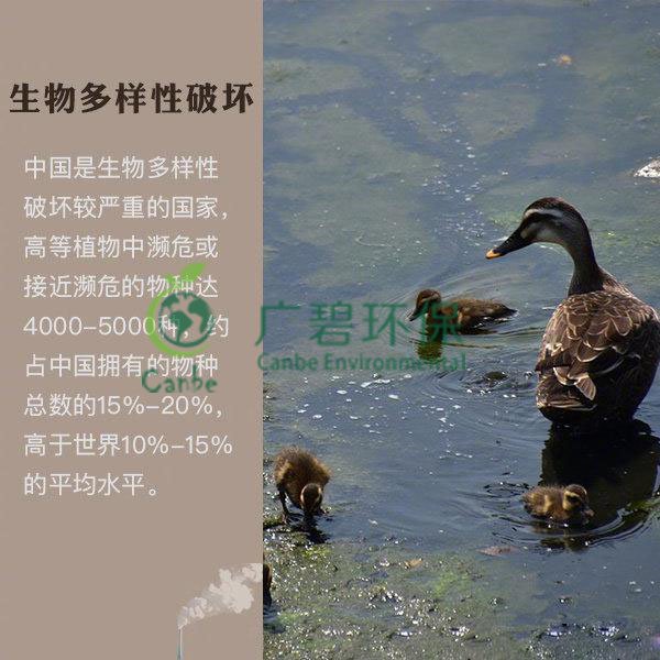 世界地球日 我們能為地球做些什么？(圖6)