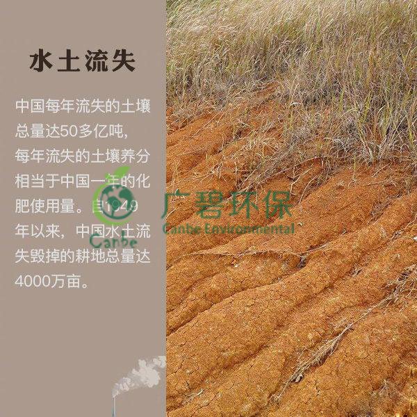 世界地球日 我們能為地球做些什么？(圖7)
