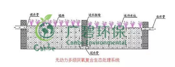 養(yǎng)豬場污水處理方法 養(yǎng)豬場廢水處理設備的應用(圖5) 養(yǎng)豬場污水處理方法 養(yǎng)豬場廢水處理設備的應用(圖5)