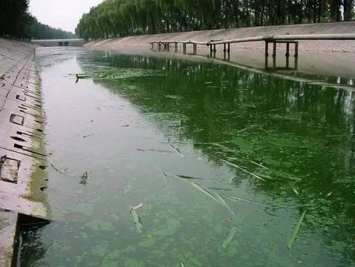 城市黑臭河道如何治理？河道黑臭水體治理思路(圖1)