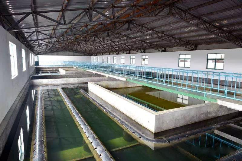 什么是制糖廢水？制糖廢水處理技術