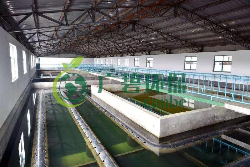 什么是制糖廢水？制糖廢水處理技術(shù)(圖1)