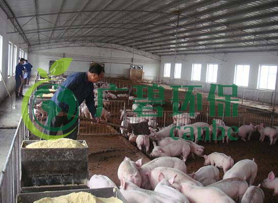 什么是養(yǎng)殖廢水？養(yǎng)殖廢水處理工藝(圖1)