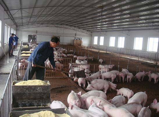 什么是養(yǎng)殖廢水？養(yǎng)殖廢水處理工藝