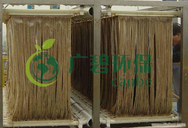MBR污泥膨脹怎么處理？污泥膨脹的處理方法(圖1)