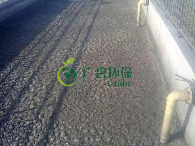 污泥發(fā)黑是什么原因造成？污泥發(fā)黑經驗分享(圖1)