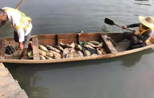 廣州旺旺食品廢水直排，永和河大量魚類死亡