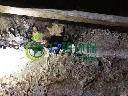 廣州旺旺食品廢水直排，永和河大量魚(yú)類(lèi)死亡(圖4)