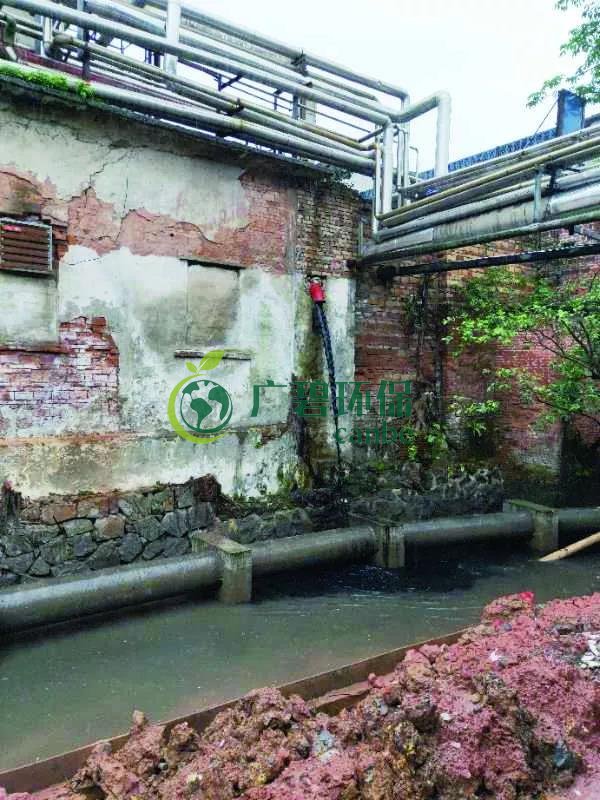 廣州海珠有污水直排河涌，3名涉案人員被行政拘留(圖1)