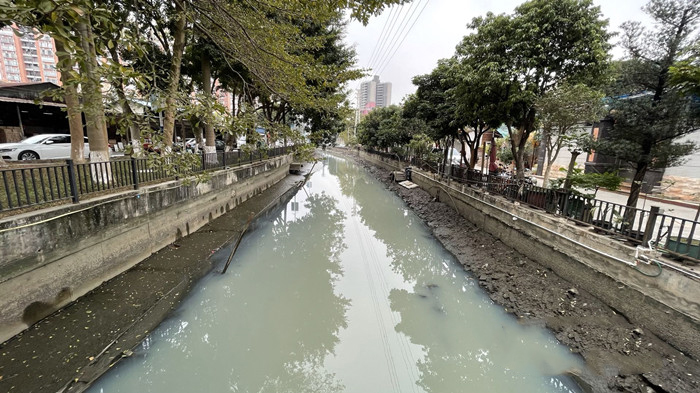 順德大良石洛涌、八坊涌整治見(jiàn)成效(圖3)